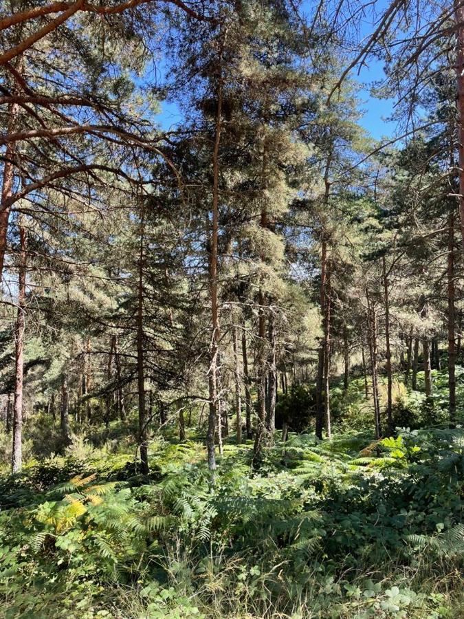 Apartamento Rural Meaus Rubias Exteriör bild