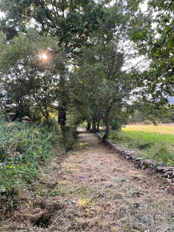 Apartamento Rural Meaus Rubias Exteriör bild